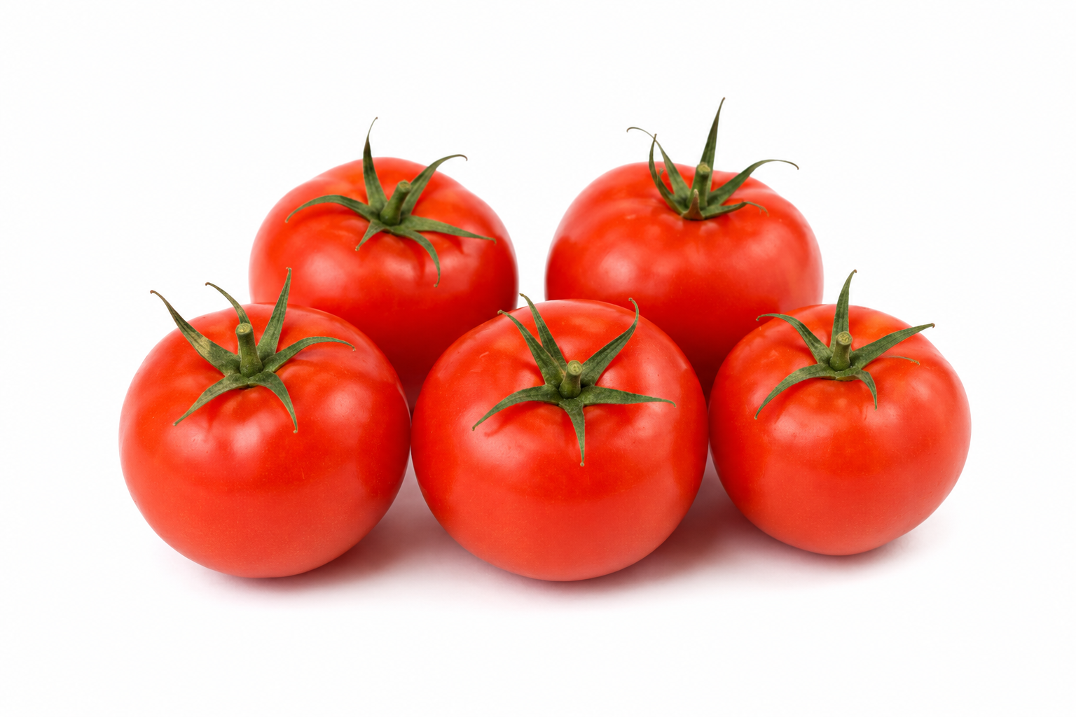 Fresh Tomatoes